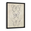 Bosquejo De Mariposa Vintage I - June Erica Vess | Cuadro decorativo de Canvas Lab