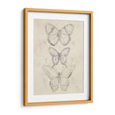 Bosquejo De Mariposa Vintage I - June Erica Vess | Cuadro decorativo de Canvas Lab