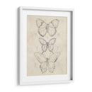 Bosquejo De Mariposa Vintage I - June Erica Vess | Cuadro decorativo de Canvas Lab