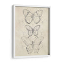 Bosquejo De Mariposa Vintage I - June Erica Vess | Cuadro decorativo de Canvas Lab