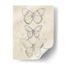 Bosquejo De Mariposa Vintage I - June Erica Vess | Cuadro decorativo de Canvas Lab
