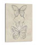 Bosquejo De Mariposa Vintage Ii - June Erica Vess | Cuadro decorativo de Canvas Lab