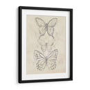 Bosquejo De Mariposa Vintage Ii - June Erica Vess | Cuadro decorativo de Canvas Lab
