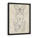 Bosquejo De Mariposa Vintage Ii - June Erica Vess | Cuadro decorativo de Canvas Lab