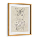 Bosquejo De Mariposa Vintage Ii - June Erica Vess | Cuadro decorativo de Canvas Lab