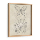 Bosquejo De Mariposa Vintage Ii - June Erica Vess | Cuadro decorativo de Canvas Lab