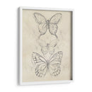 Bosquejo De Mariposa Vintage Ii - June Erica Vess | Cuadro decorativo de Canvas Lab