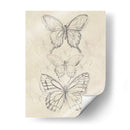 Bosquejo De Mariposa Vintage Ii - June Erica Vess | Cuadro decorativo de Canvas Lab