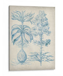 Blue Fresco Floral Ii - Vision Studio | Cuadro decorativo de Canvas Lab