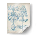 Blue Fresco Floral Ii - Vision Studio | Cuadro decorativo de Canvas Lab