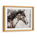 Galaxy Horse I - Irena Orlov | Cuadro decorativo de Canvas Lab