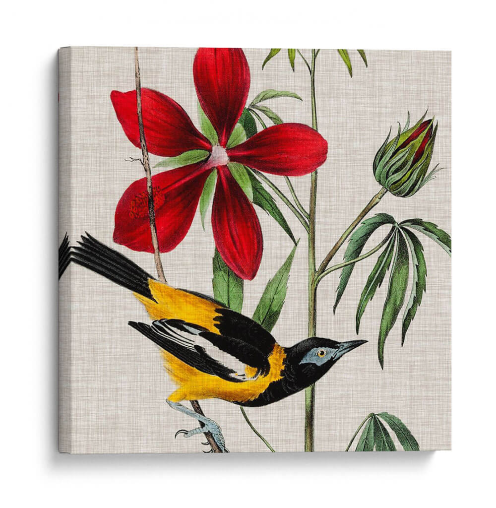 Cultivo Aviar I - John James Audubon | Cuadro decorativo de Canvas Lab
