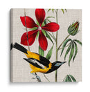 Cultivo Aviar I - John James Audubon | Cuadro decorativo de Canvas Lab
