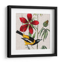 Cultivo Aviar I - John James Audubon | Cuadro decorativo de Canvas Lab