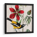 Cultivo Aviar I - John James Audubon | Cuadro decorativo de Canvas Lab