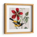 Cultivo Aviar I - John James Audubon | Cuadro decorativo de Canvas Lab