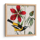 Cultivo Aviar I - John James Audubon | Cuadro decorativo de Canvas Lab