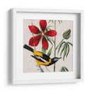 Cultivo Aviar I - John James Audubon | Cuadro decorativo de Canvas Lab