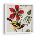 Cultivo Aviar I - John James Audubon | Cuadro decorativo de Canvas Lab