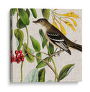 Cultivo Aviar Ii - John James Audubon | Cuadro decorativo de Canvas Lab