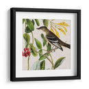 Cultivo Aviar Ii - John James Audubon | Cuadro decorativo de Canvas Lab