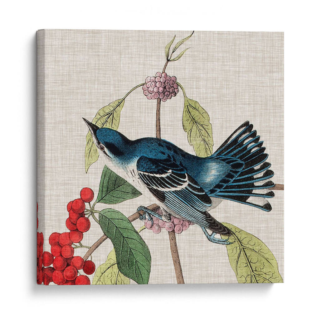 Cultivo Aviar Iii - John James Audubon | Cuadro decorativo de Canvas Lab