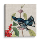Cultivo Aviar Iii - John James Audubon | Cuadro decorativo de Canvas Lab