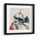 Cultivo Aviar Iii - John James Audubon | Cuadro decorativo de Canvas Lab