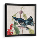 Cultivo Aviar Iii - John James Audubon | Cuadro decorativo de Canvas Lab
