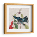 Cultivo Aviar Iii - John James Audubon | Cuadro decorativo de Canvas Lab