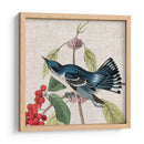 Cultivo Aviar Iii - John James Audubon | Cuadro decorativo de Canvas Lab