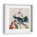 Cultivo Aviar Iii - John James Audubon | Cuadro decorativo de Canvas Lab