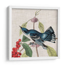 Cultivo Aviar Iii - John James Audubon | Cuadro decorativo de Canvas Lab