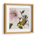 Cultivo Aviar V - John James Audubon | Cuadro decorativo de Canvas Lab