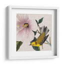 Cultivo Aviar V - John James Audubon | Cuadro decorativo de Canvas Lab