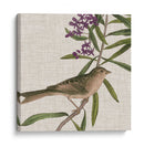 Cultivo Aviar Ix - John James Audubon | Cuadro decorativo de Canvas Lab