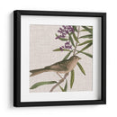 Cultivo Aviar Ix - John James Audubon | Cuadro decorativo de Canvas Lab