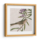 Cultivo Aviar Ix - John James Audubon | Cuadro decorativo de Canvas Lab