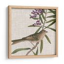 Cultivo Aviar Ix - John James Audubon | Cuadro decorativo de Canvas Lab