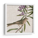 Cultivo Aviar Ix - John James Audubon | Cuadro decorativo de Canvas Lab