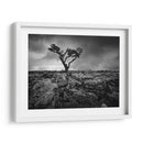 Pavimento Y Árbol Ii - Martin Henson | Cuadro decorativo de Canvas Lab