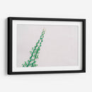 Pequeña enredadera | Cuadro decorativo de Canvas Lab