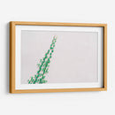Pequeña enredadera | Cuadro decorativo de Canvas Lab