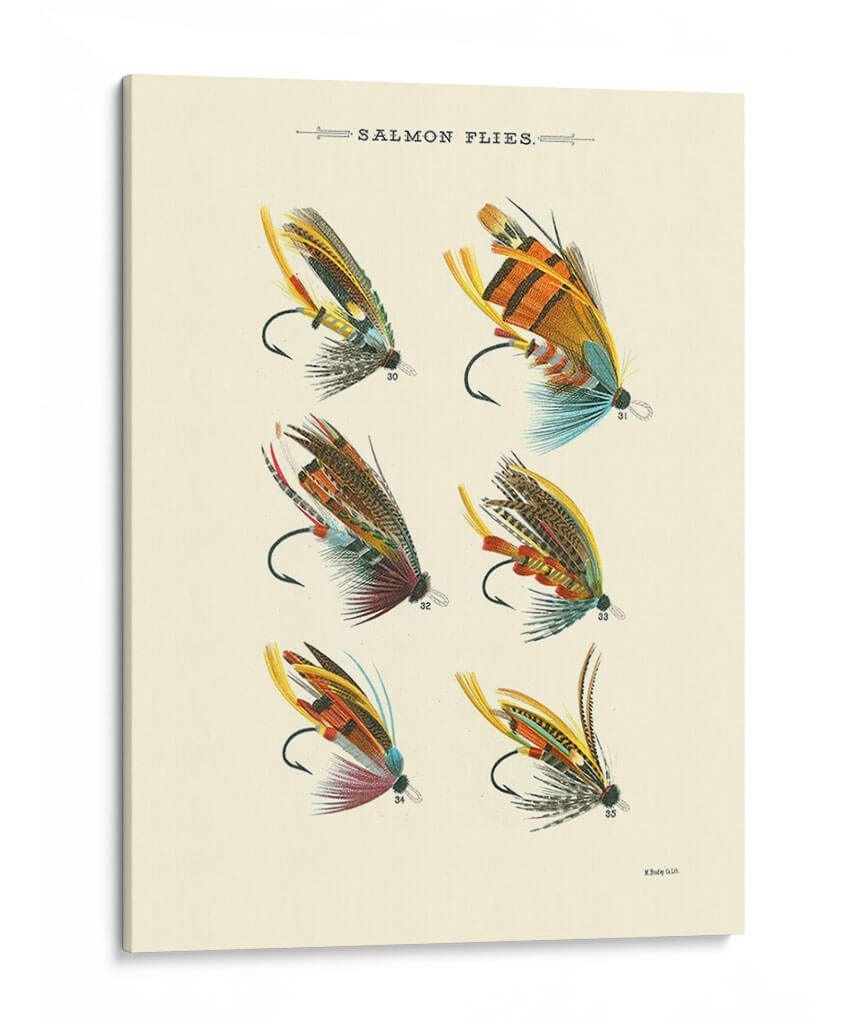 Volas De Salmón Ii - Vision Studio | Cuadro decorativo de Canvas Lab