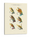 Volas De Salmón Ii - Vision Studio | Cuadro decorativo de Canvas Lab