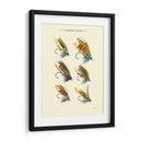 Volas De Salmón Ii - Vision Studio | Cuadro decorativo de Canvas Lab