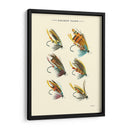 Volas De Salmón Ii - Vision Studio | Cuadro decorativo de Canvas Lab
