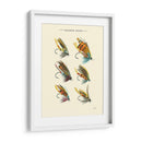 Volas De Salmón Ii - Vision Studio | Cuadro decorativo de Canvas Lab