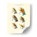 Volas De Salmón Ii - Vision Studio | Cuadro decorativo de Canvas Lab