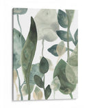 Hojas De Agua Iii - June Erica Vess | Cuadro decorativo de Canvas Lab